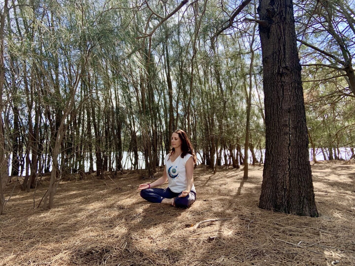 Restorative Yoga Meditation